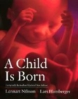 Image for A Child is Born