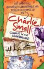 Image for Charlie in the underworld