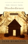 Image for Disobedience: a novel