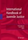 Image for International Handbook of Juvenile Justice