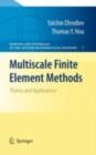 Image for Multiscale finite element methods: theory and applications