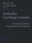Image for Articular Cartilage Lesions: A Practical Guide to Assessment and Treatment