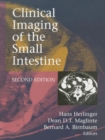 Image for Clinical imaging of the small intestine