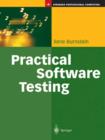Image for Practical software testing: a process-oriented approach