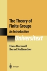 Image for The theory of finite groups: an introduction