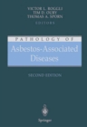 Image for Pathology Of Asbestos-associated Diseases.