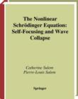 Image for The Nonlinear Schrodinger Equation: Self-Focusing and Wave Collapse