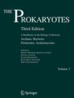 Image for Prokaryotes  : a handbook on the biology of bacteriaVol. 3: Archaea and bacteria