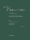 Image for Prokaryotes  : a handbook on the biology of bacteriaVol. 6: Proteobacteria : v. 6 : Proteobacteria - Gamma Subclass