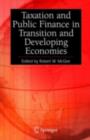 Image for Taxation and public finance in transition and developing economies