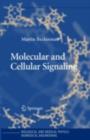 Image for Molecular and cellular signaling