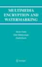 Image for Multimedia encryption and watermarking