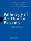 Image for Pathology of the human placenta