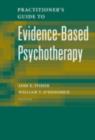 Image for Practitioner&#39;s guide to evidence based psychotherapy