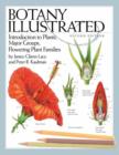 Image for Botany illustrated: introduction to plants, major groups, flowering plant families