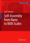 Image for Self-assembly from Nano to Milli Scales