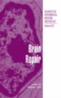 Image for Brain repair