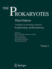 Image for Prokaryotes: a handbook on the biology of bacteria