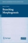 Image for Branching morphogenesis