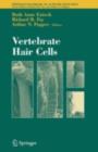 Image for Vertebrate hair cells