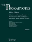 Image for The Prokaryotes : A Handbook on the Biology of Bacteria