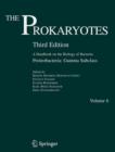 Image for The Prokaryotes : A Handbook on the Biology of Bacteria