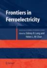 Image for Frontiers of ferroelectricity: a special issue of the Journal of materials science