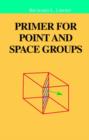Image for Group theory primer