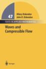 Image for Waves and Compressible Flow