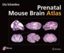 Image for Prenatal mouse brain atlas.