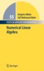 Image for Numerical linear algebra