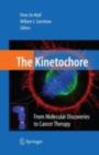 Image for The kinetochore: from molecular discoveries to cancer therapy