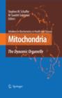 Image for Mitochondria: the dynamic organelle