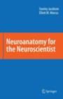 Image for Neuroanatomy for the neuroscientist