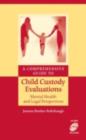 Image for A comprehensive guide to child custody evaluations: mental health and legal perspectives