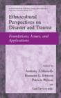 Image for Ethnocultural Perspectives on Disaster and Trauma