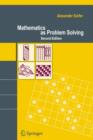 Image for Mathematics as problem solving