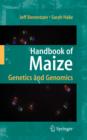 Image for Handbook of Maize