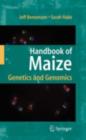 Image for Handbook of maize: history and practice of genetics, genomics and improvement