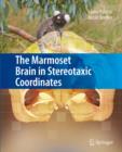 Image for The marmoset brain in stereotaxic coordinates