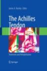 Image for The achilles tendon: treatment and rehabilitation