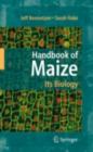 Image for Handbook of maize: its biology