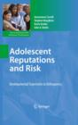Image for Adolescent reputations and risk: developmental trajectories to delinquency