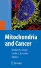 Image for Mitochondria and cancer