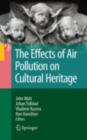 Image for The effects of air pollution on cultural heritage