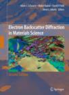 Image for Electron Backscatter Diffraction in Materials Science