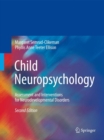 Image for Child neuropsychology: assessment and interventions for neurodevelopmental disorders,