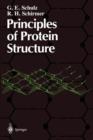 Image for Principles of Protein Structure