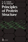 Image for Principles of Protein Structure