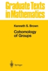 Image for Cohomology of Groups